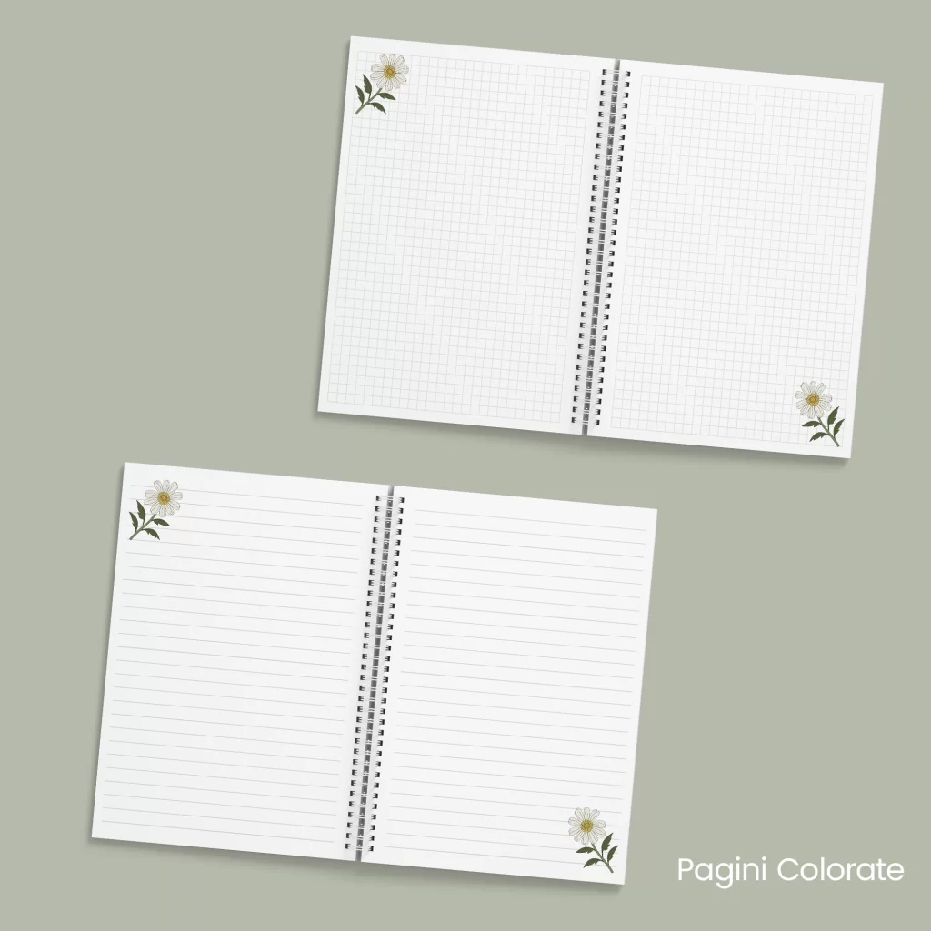 Caiet cu Margarete_4