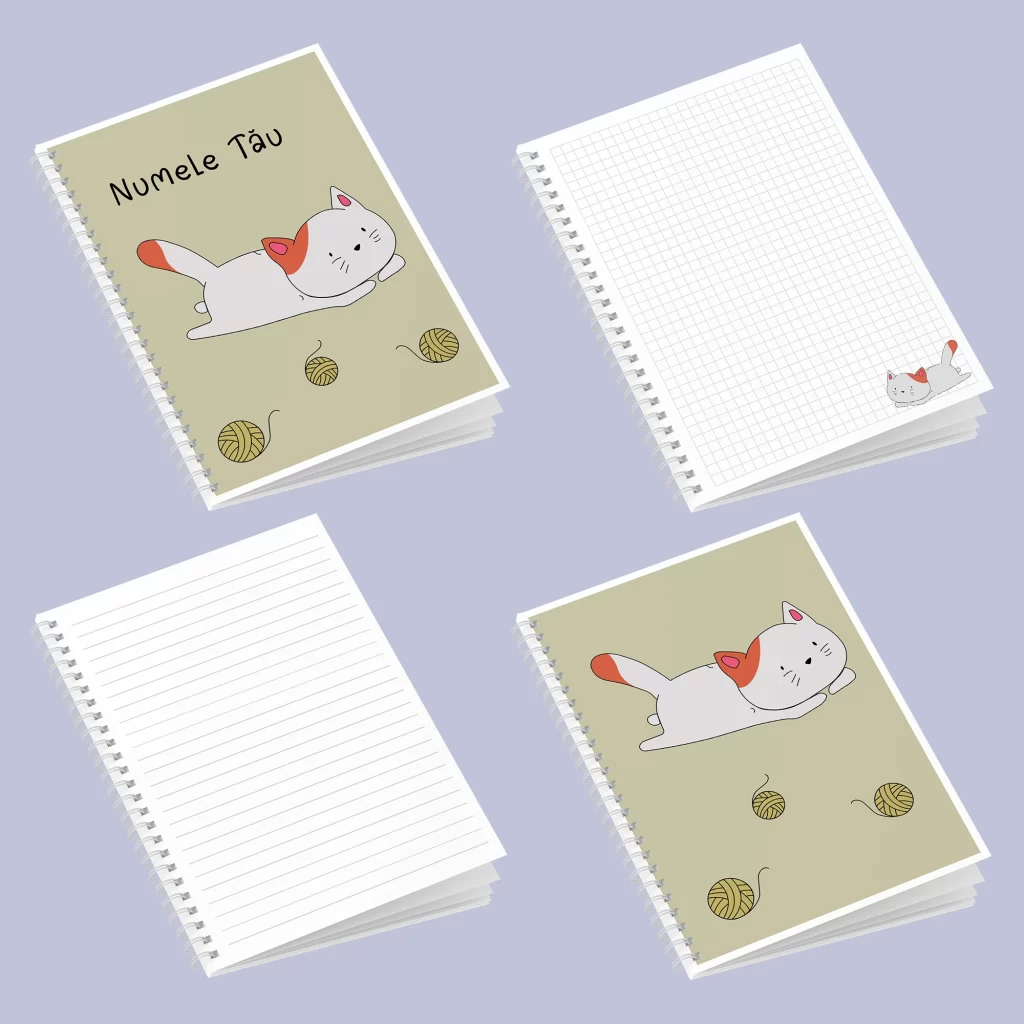 Caiet cu Pisica cu gheme_3