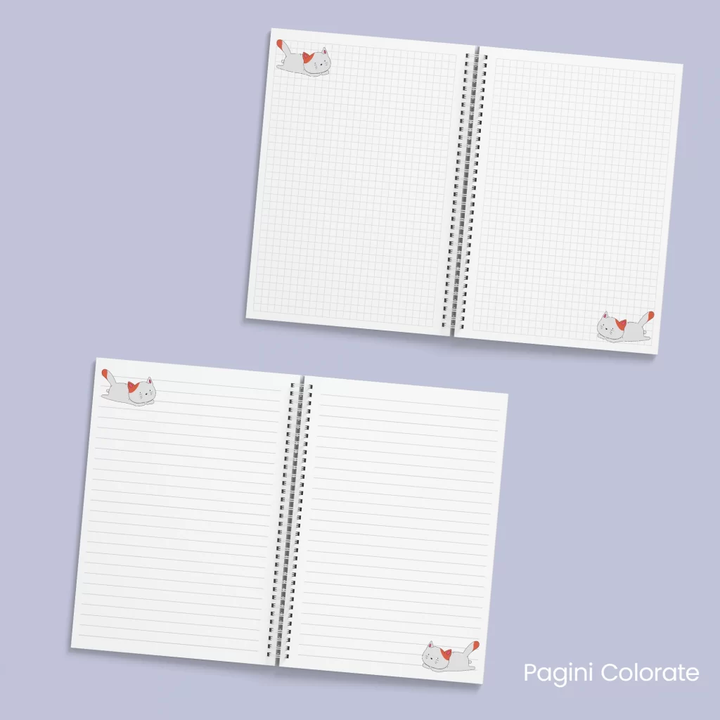 Caiet cu Pisica cu gheme_4