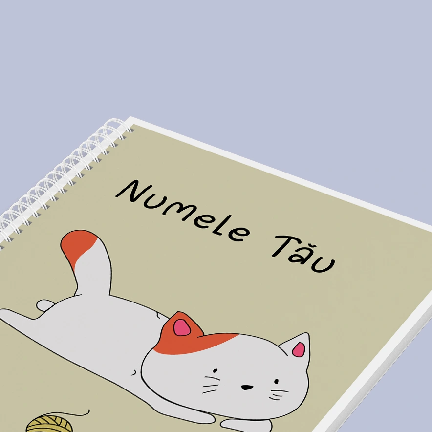 Caiet cu Pisică cu gheme_1